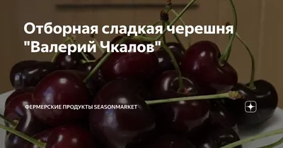 Черешня Валерий Чкалов: описание и характеристика сорта, достоинства и  недостатки, особенности посадки и ухода + фото и отзывы