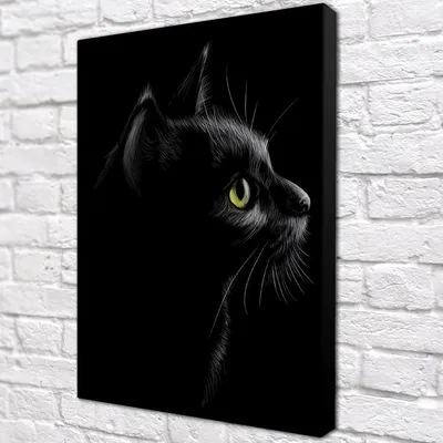 Кошка с черно-белым окрасом, бесплатно скачать png