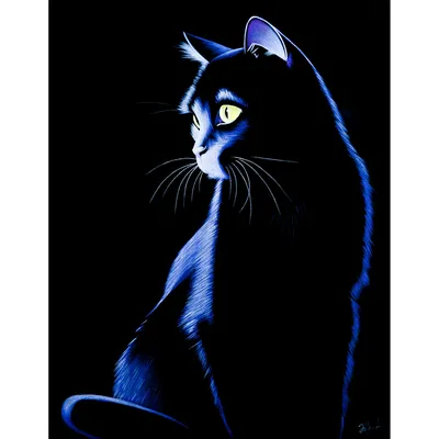 Черная кошка на фоне ночного неба, png изображение