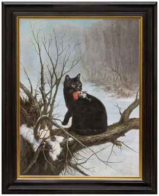 Черная кошка бежит по поляне, бесплатные картинки
