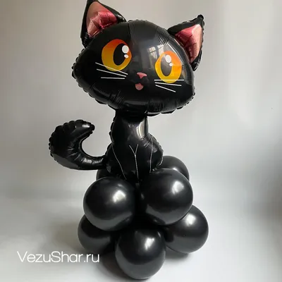 Черная кошка с неповторимым окрасом, изображение в хорошем качестве