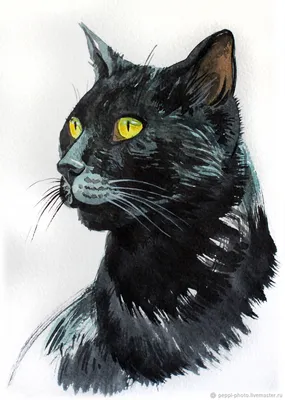 Черная кошка, воплощение загадки и грации, jpg формат