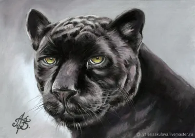 Фигурка Masai Mara Черная пантера на охоте. Мир диких животных купить по  цене 799 ₽ в интернет-магазине Детский мир