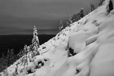 Черно белые фото зимы фотографии