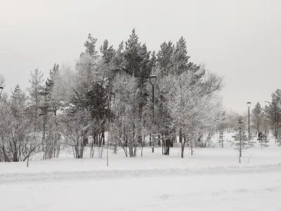 Русская зима. Фотограф Соварцева Ксения