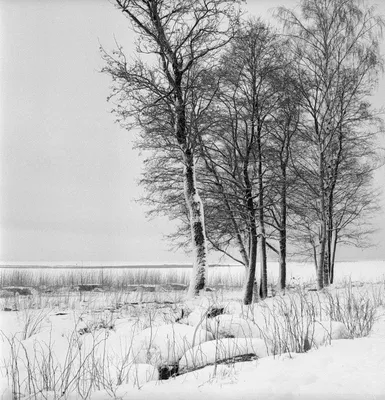 Черно-белая фотосерия «Графика зимы» — Le Lu Photo