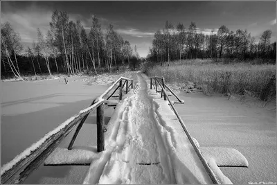 Чёрно-белые краски зимы — Сообщество «Фотоальбом Драйва: Мобилография» на  DRIVE2