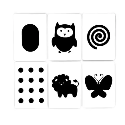 Черно-белые картинки для малышей | Baby artwork, Baby flash cards, Zebra art