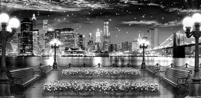 Фотообои флизелиновые Первое ателье 200x125 см Лотос в черно-белыx тонаx с ярким  акцентом pw95684-2 по цене 2574 ₽/шт. купить в Москве в интернет-магазине  Леруа Мерлен