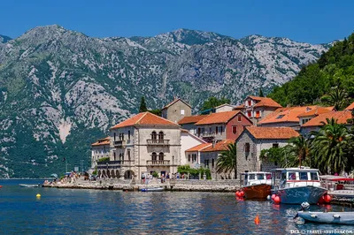 Боко-Которская бухта в Черногории: что посмотреть, экскурсии, пляжи, фото —  Блог Сел и Поехал