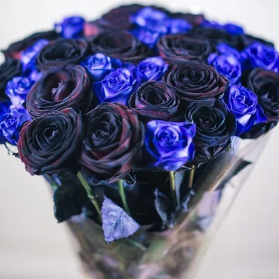 Букет 35 черных и синих роз купить с доставкой в СПб