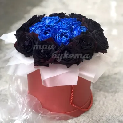 10 Черных и 7 синих роз в коробке за 5180 ₽ с доставкой по Москве