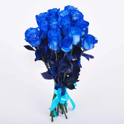 Букет из 15 синих роз Эквадор (Premium 60см) - купить в Москве по цене 7190  р - Magic Flower
