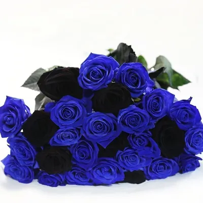 Букет 25 синих и черных роз купить с доставкой в СПб