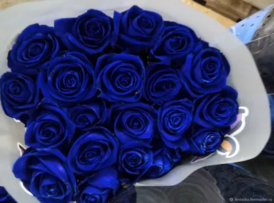 Купить Букет из 51 синих роз по цене 7 395грн. от студии цветов LaVanda