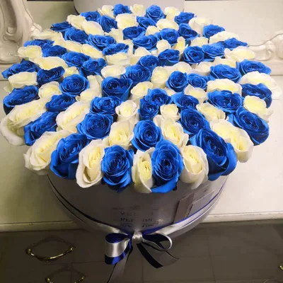 Бело синие розы - 78 фото