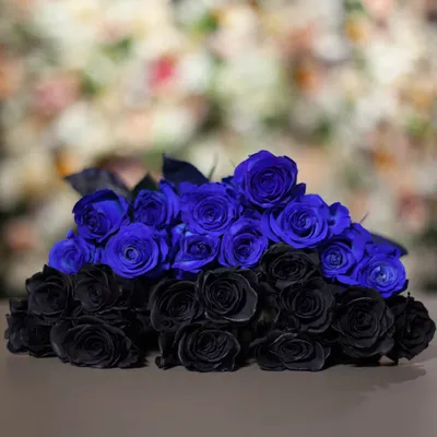 Купить синие розы оптом в СПб ✿ Оптовая цветочная компания СПУТНИК