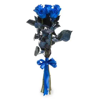 Букет из 17 синих роз» - купить в Новосибирске за 10 490 руб