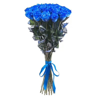 Roses.ee - Удивляйте каждый день! Синие, фиолетовые,... | Facebook