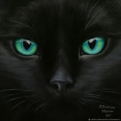 [34+] Черные кошки с зелеными глазами фото