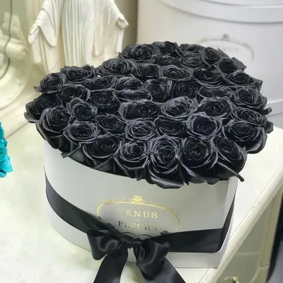 Черные розы фото