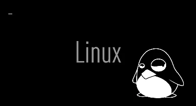 Чёрный экран после загрузки Linux