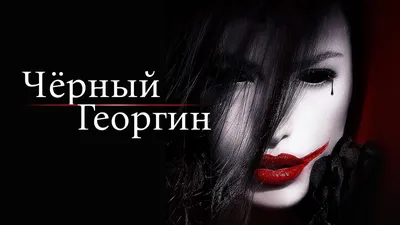 Ароматический Диффузор Dark Noir Черный Георгин 100 мл 775714 – купить по  цене 1 850 ₽ в Москве в интернет-магазине ogogo.ru