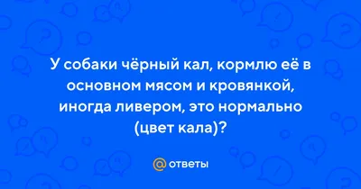 Болезни желудка у собак: симптомы и лечение | Royal Canin