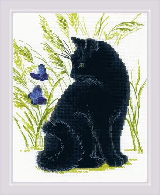 Чёрный кот (кабаре) — Википедия