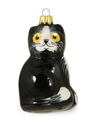 черный кот страшный стоковое изображение. изображение насчитывающей киска -  128519233