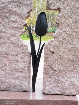 Шукач | Памятник погибшим воинам-афганцам «Черный тюльпан» в Никополе