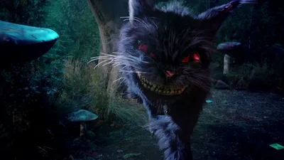 Чеширский кот