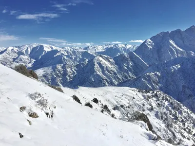 Чимган зимой фото