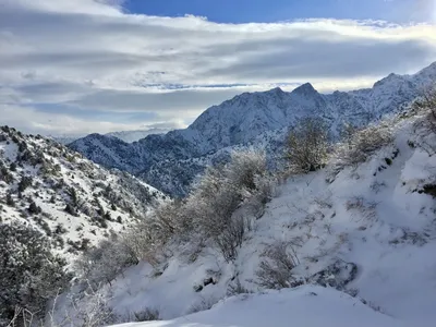 UzNews - Неизведанный Узбекистан: зимний малый Чимган (фото, видео)