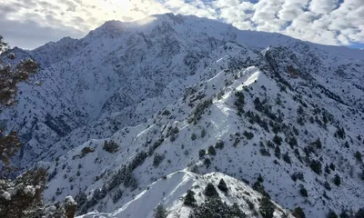 UzNews - Неизведанный Узбекистан: зимний малый Чимган (фото, видео)