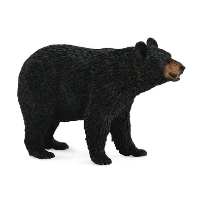 [33+] Чёрный медведь фото