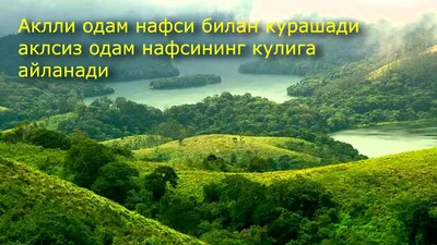 Тоҳир Малик - Tohir Malik - Кишидаги донолик бошқаларга хизмат қилсагина,  донолик ҳисобланади. Чиройли сўзлар либосидаги сафсата донолик эмас!  “Умидимиз юлдузларига” китобидан. #ijtimoiy_tarmoqlarda Facebook:  facebook.com/tohirmalik.uz/ Instagram ...