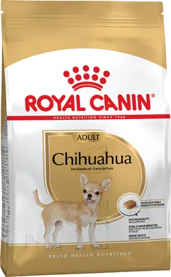 Супер щенки чихуахуа: 500 € - Собаки Одеса на Olx