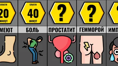 Почему нельзя долго сидеть в туалете — три пугающие причины - Hi-News.ru