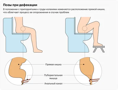 Опасно для здоровья: 3 серьезные причины перестать ходить в туалет с  телефоном