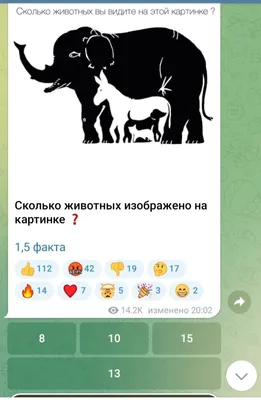 на этой картинке изображено здание на острове с лодками и деревьями на нем,  картинка хилтон голова фон картинки и Фото для бесплатной загрузки