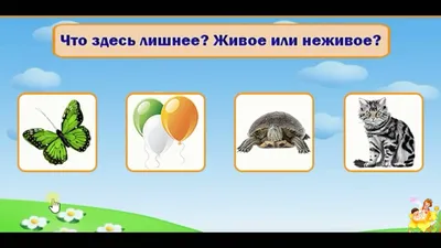 Книга с заданиями \"Найди лишнее\", от 3 лет, 24 страницы купить по цене 54 ₽  в интернет-магазине KazanExpress