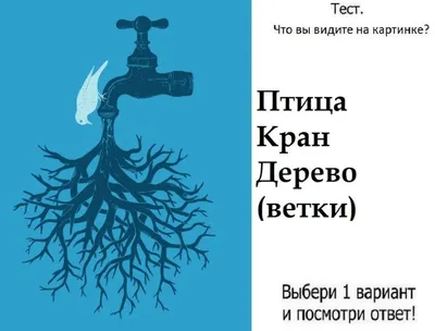 Использование функции «Что на картинке?» для распознавания объектов на фото  и видео на iPhone - Служба поддержки Apple (RU)