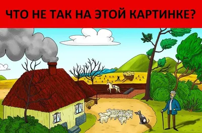 Что на картинке фотографии
