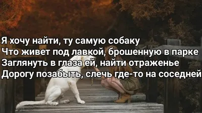 Канги - Собака (Я хочу найти самую собаку) (Lyrics, Текст) (Премьера трека)  - YouTube