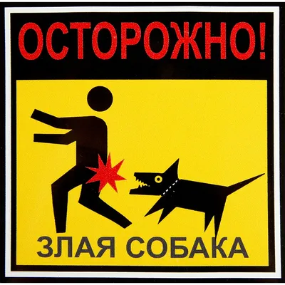 Аренда обученных собак: хаски, самоед, доберман • Киев