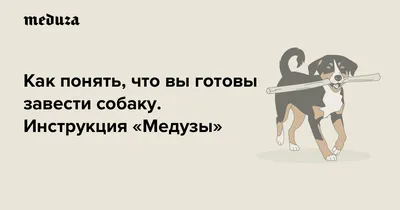 Детские книги про собак (чтение для самых маленьких)