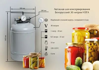 Автоклав Белорусский для домашнего консервирования НОВОГАЗ 24 литров -  купить с доставкой по выгодным ценам в интернет-магазине OZON (279261562)