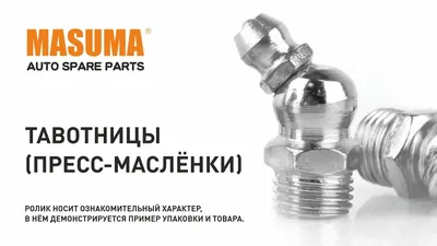 MASUMA MY-008, Тавотница Masuma — бренд автозапчастей №1 в России