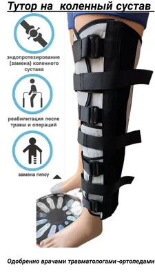Туторы и ортопедические аппараты для ходьбы – купить съемные ортопедические  туторы и аппараты для детей и взрослых, изготовление туторов на заказ в  ортопедическом центре \"Персей\" в Москве, тел. 8 (495) 469-99-05